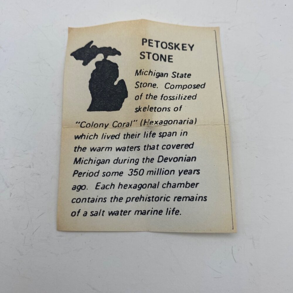 Vtg Petoskey Stone Butterfly Brooch Filigree Gold Tone Pin Box Michigan Fossil - Picture 7 of 10